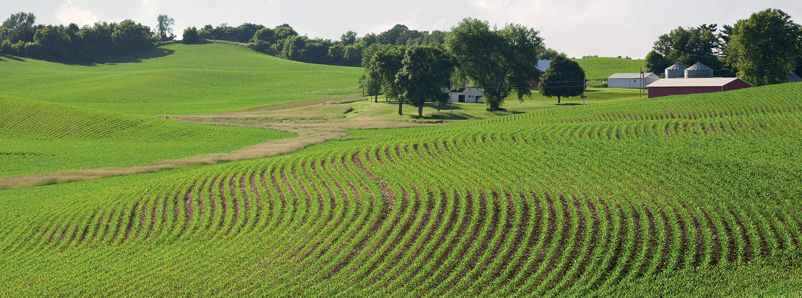 Farmland with rolling hills